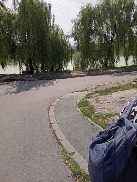 Tei, Lacul Plumbuita, sector 2,