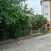 Tei, Lacul Plumbuita, sector 2,