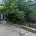 Tei, Lacul Plumbuita, sector 2,