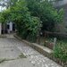 Tei, Lacul Plumbuita, sector 2,